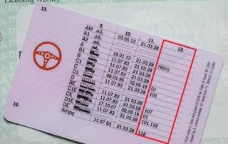 Driving Licence